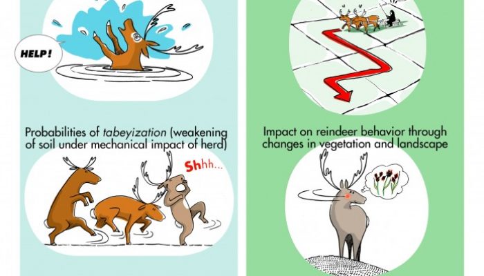 Image of The Week –  Prize Polar Pictures!