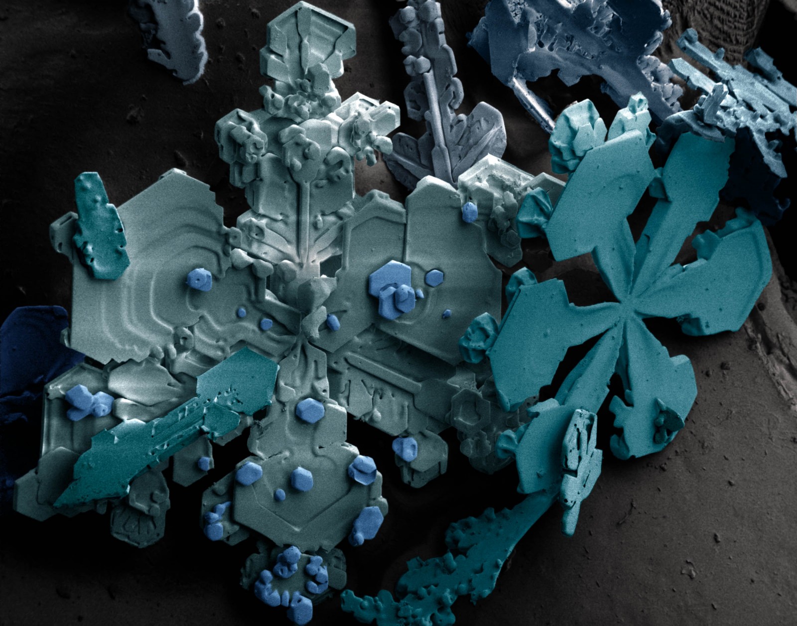 Image of the Week – The Journey of a Snowflake