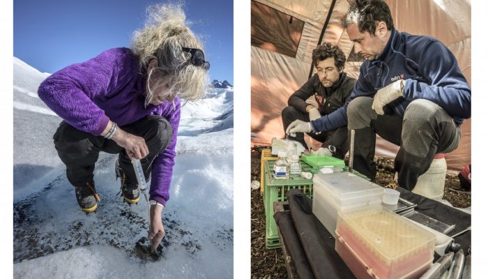 Image of the week – Micro-organisms on Ice!