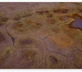 Image of the Week — Biscuits in the Permafrost