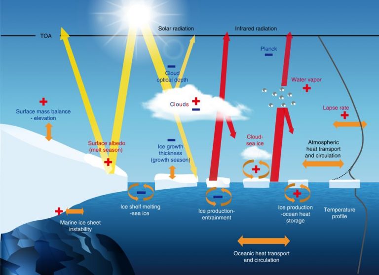 Cryospheric Sciences Image of the Week Climate feedbacks demystified in polar regions