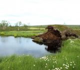Image of the Week – Permafrost features disappearing from subarctic peatlands