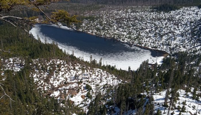 Image of the Week – Life in blooming melting snow