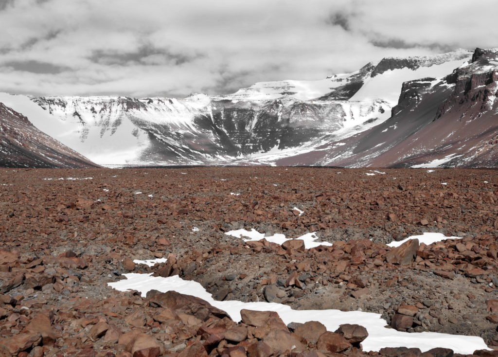 Cryospheric Sciences | Image Of The Week – Desert Varnish, Antarctica Style