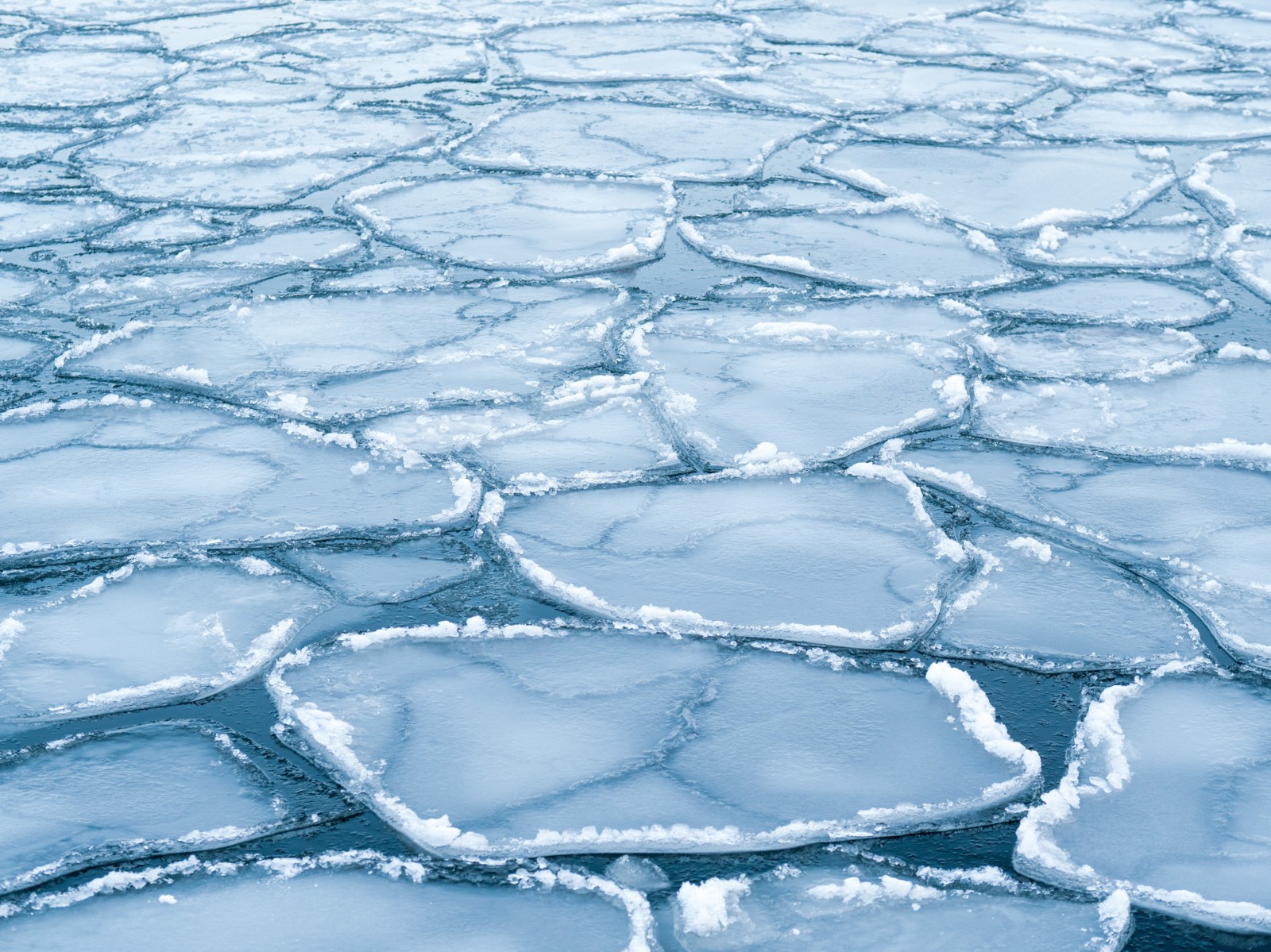融化的冰川图片大全-融化的冰川高清图片下载-觅知网