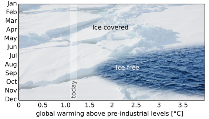 The future of Arctic sea ice