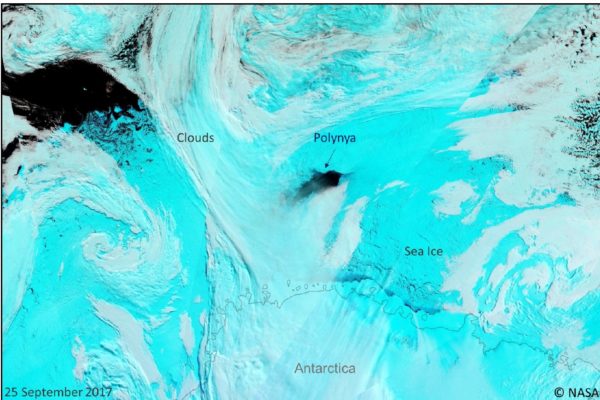 Atmospheric Rivers: A blanket for Antarctic winter sea ice
