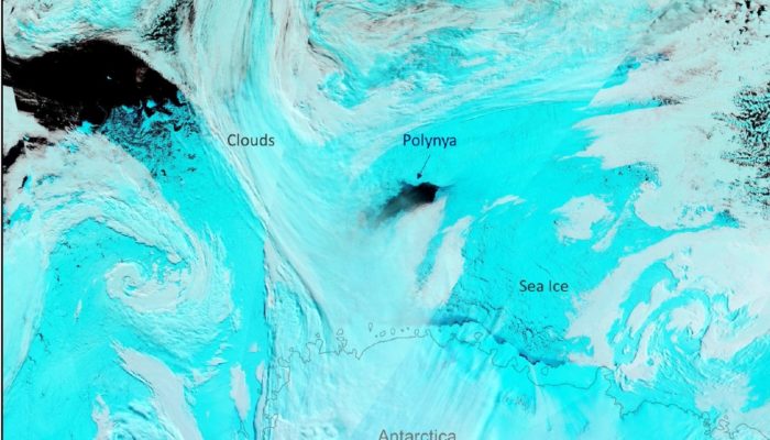 Atmospheric Rivers: A blanket for Antarctic winter sea ice