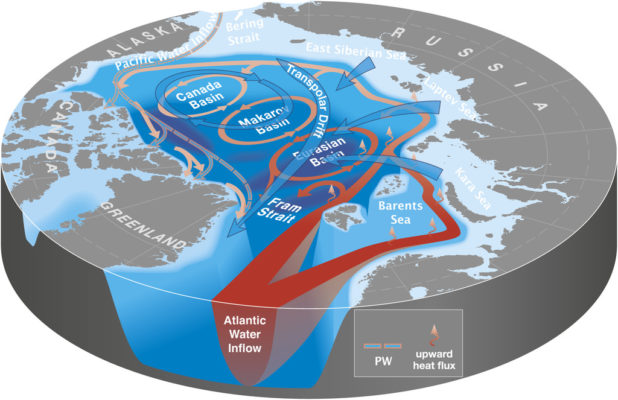 Cryospheric Sciences Image Of The Week Did You Know That Arctic Sea   Fig1 OceanCirculation Carmack2015 618x400 