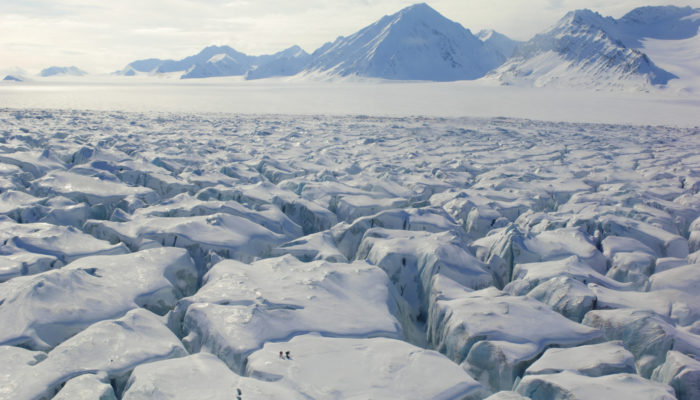 The Norwegian Polar Institute