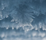 Cryo Careers: Should I stay, or should I go? Non-linear career paths