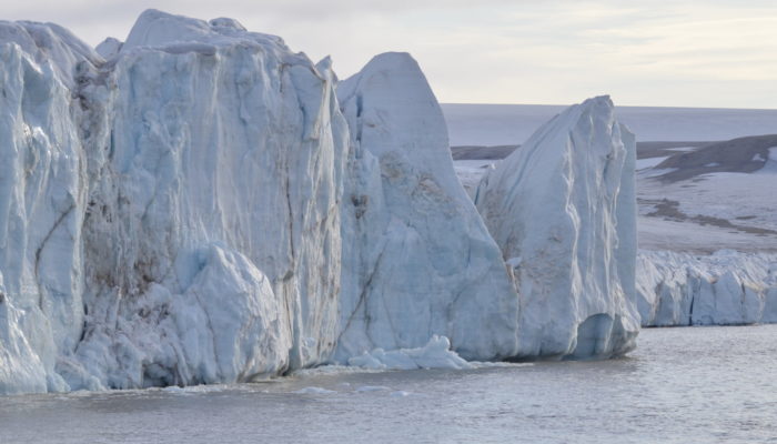 Of Polar Bears and Sediment Cores: a Scientific Cruise in the Arctic