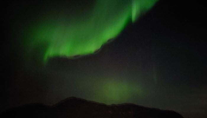 Dark sky with greenish Aurora Borealis.