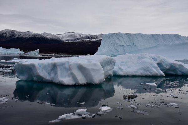 Glacier debris ice floating in a bay