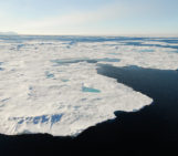Winds and Antarctic sea-ice cover: what is the role of human activities?