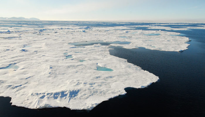 Winds and Antarctic sea-ice cover: what is the role of human activities?