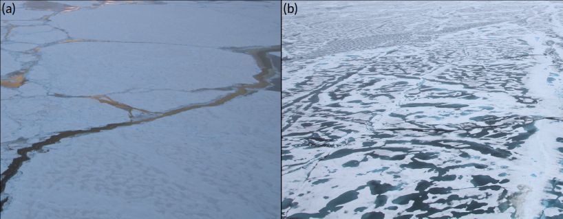 Two photos of cracks (leads) and melt ponds on sea ice.