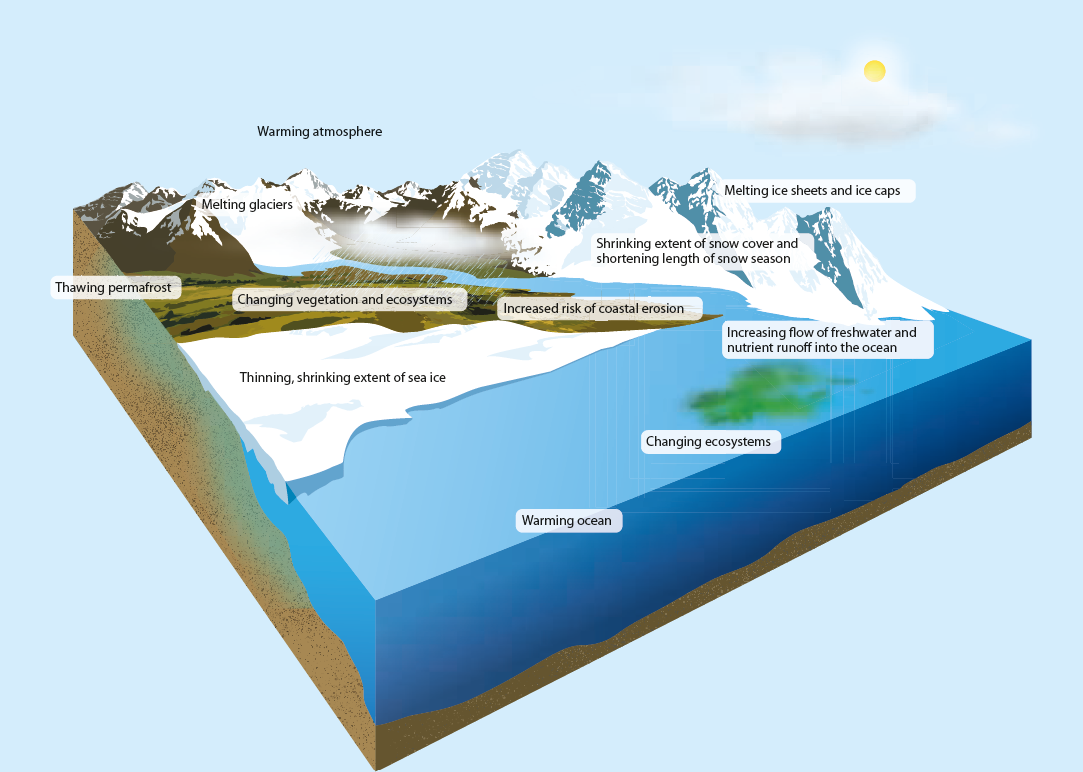 A scheme representing the impacts and resulting risks from the warming Arctic, including thawing permafrost, decrease of sea ice, changing vegetation and ecosystems, melting glaciers, warming atmosphere, coastal erosion, warming ocean, increased freshwater flux to oceans, melting ice sheets and caps, decrease in snow cover and winter season.