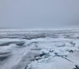 Did you know there’s a (relatively new) treaty for the Central Arctic Ocean?
