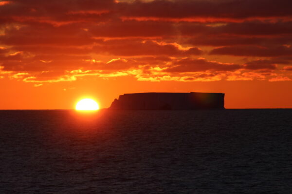 The search for the Antarctic giants!