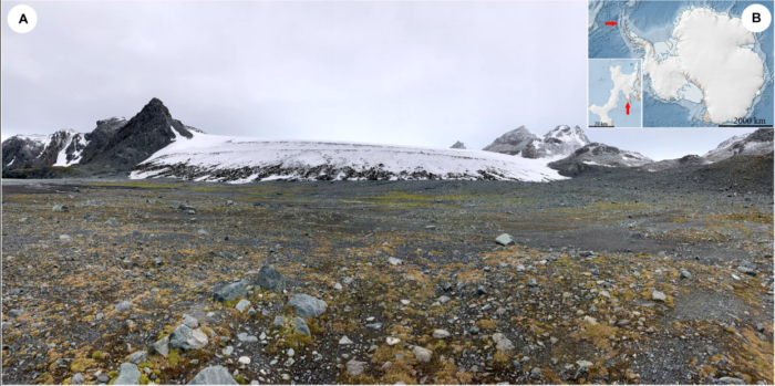 A photo pf a rocky land with an ice mass in the background. The land has brownish plants.