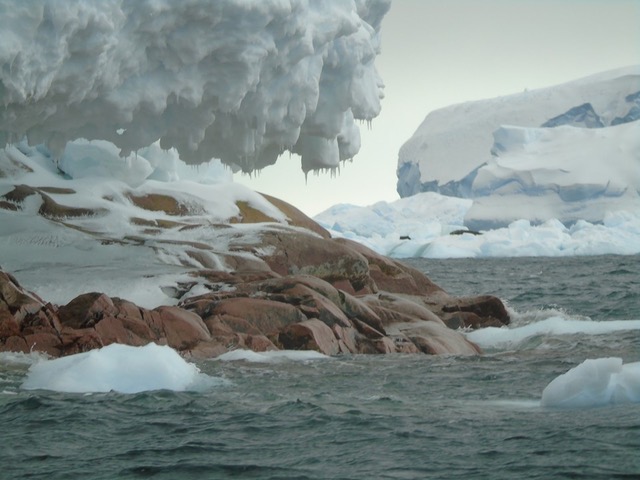 Photo of rocks sticking out of an icy ocean, partly covered with ice themselves.