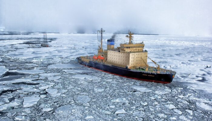 Did you know that a lack of Arctic shipping regulation has detrimental environmental effects?