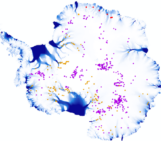 Uncovering Antarctica’s hidden subglacial lake network with satellite altimetry