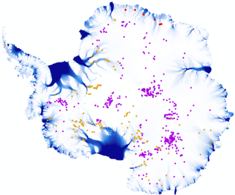 Uncovering Antarctica’s hidden subglacial lake network with satellite altimetry