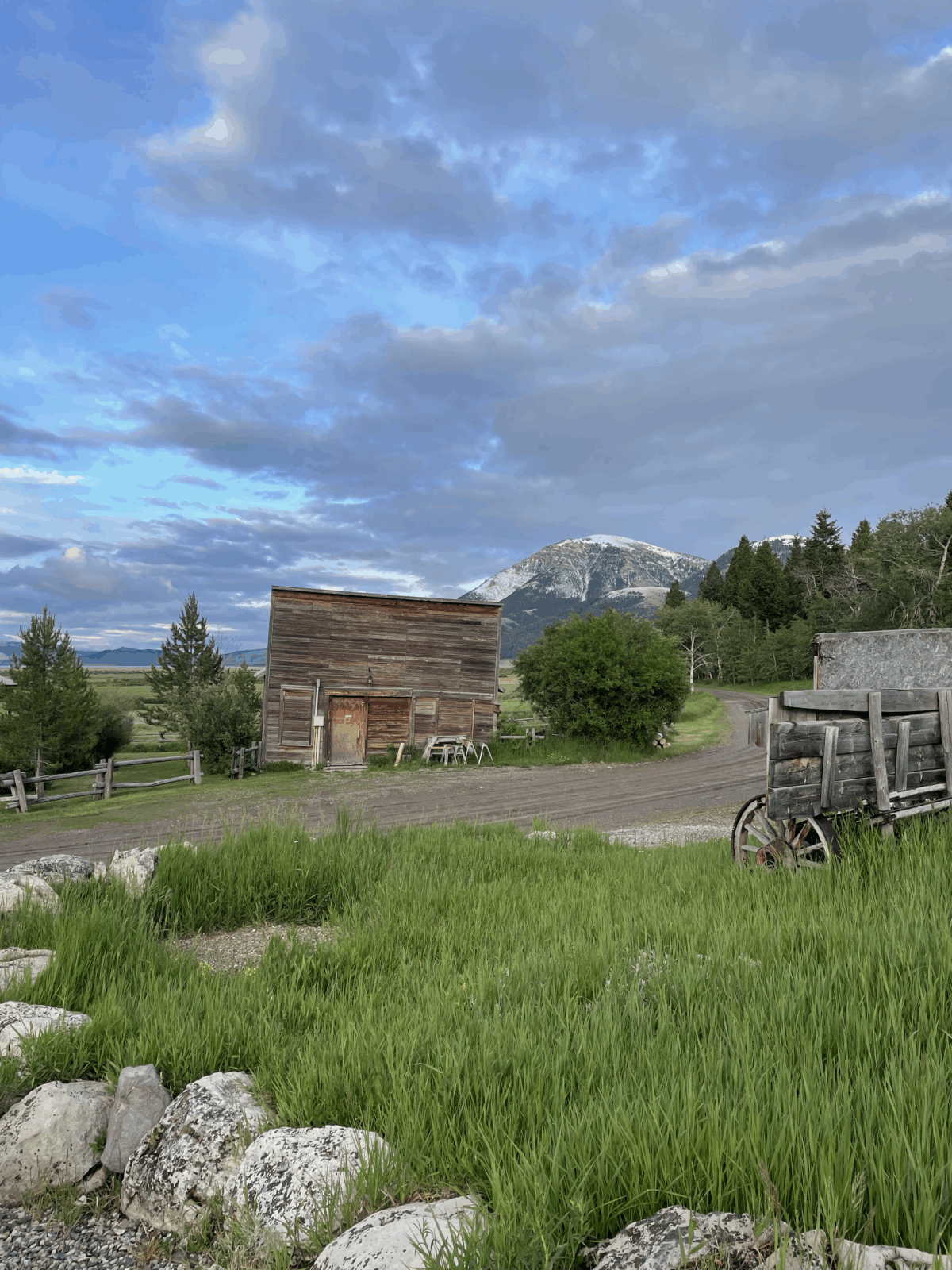 A small wooden cabin on green grass high in the mountains, the Cabin at the Taft-Nicholson Center.