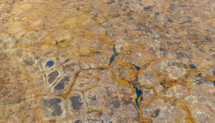 How Citizen Scientists mapped Arctic Permafrost