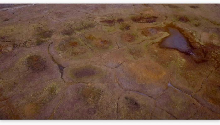 Image of the Week — Biscuits in the Permafrost
