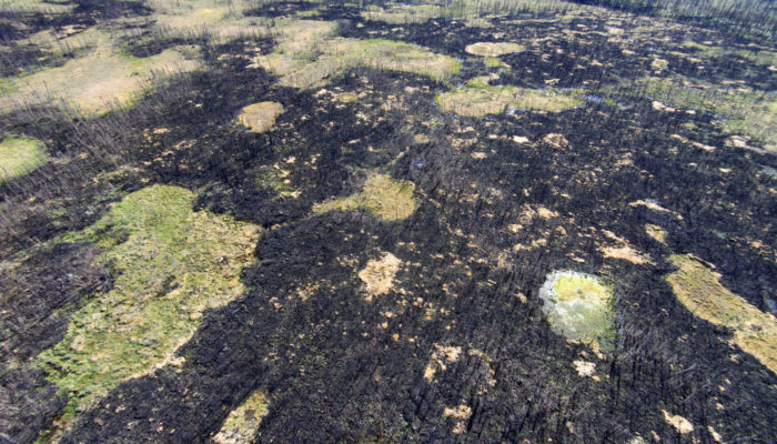 For Dummies – How do wildfires impact permafrost? [OR.. a story of ice and fire]