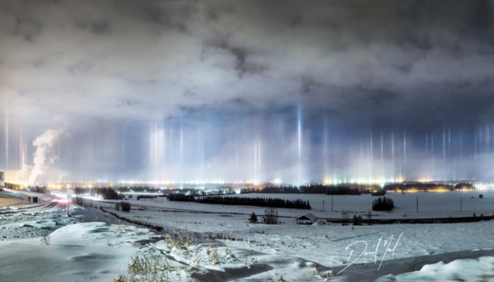 Did you know about… nature’s street lights for Santa Claus?