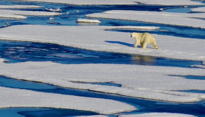 Will the Arctic be ice free earlier than previously thought?