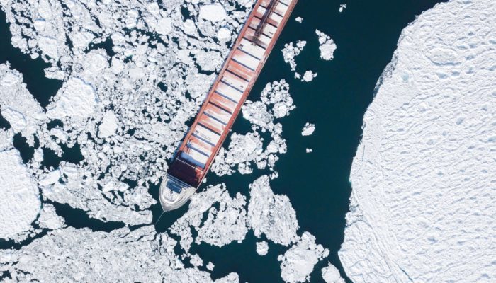 Mapping sea ice from space