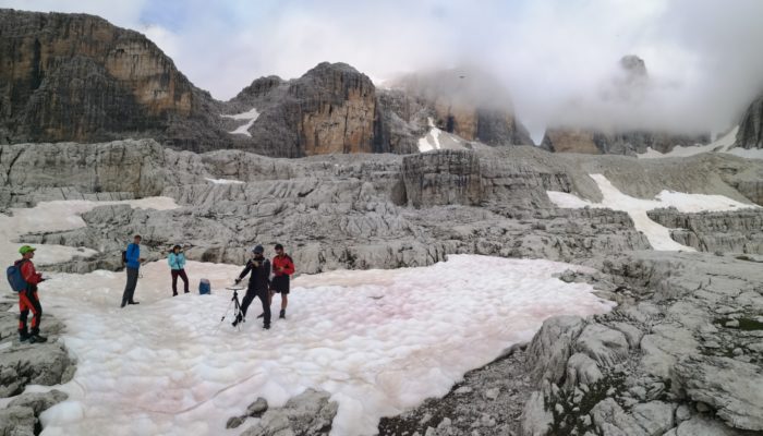 Cryo-Adventures – Hunting snow algae in the Alps