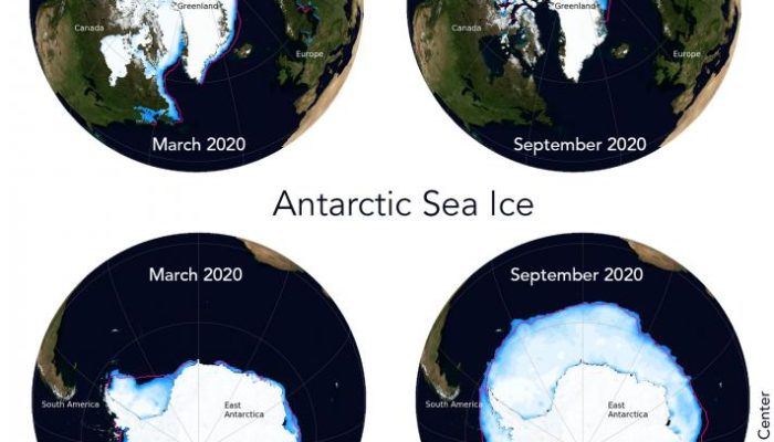 Did you know the differences between Arctic and Antarctic sea ice?