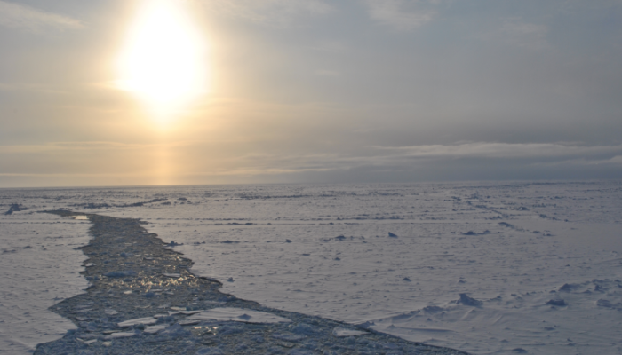 Highlighted Paper – The ice factories of the Arctic Ocean