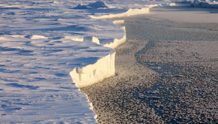 Did you know that cracks play a large role in the Arctic sea ice production?