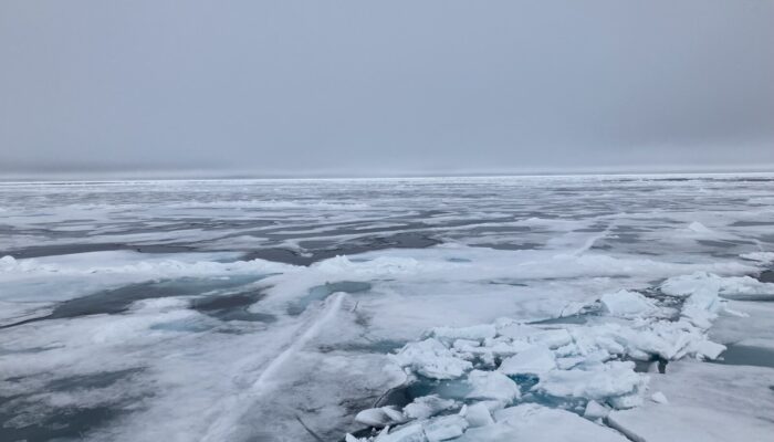 Did you know there’s a (relatively new) treaty for the Central Arctic Ocean?