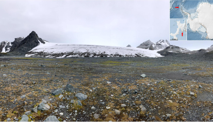A photo pf a rocky land with an ice mass in the background. The land has brownish plants.
