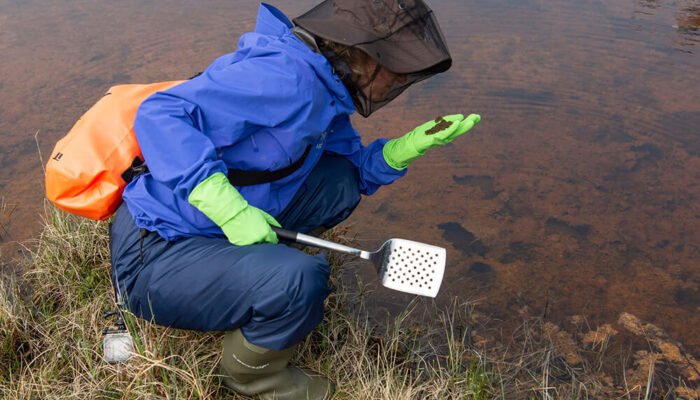A person is kneeling down at a brown pond, all covered in mosquito net, waterproof gear, kitchen gloves and a pancake flipping spatula.