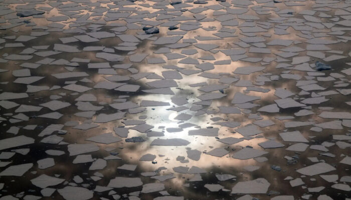 Thin, small sea ice floats on the dark waters.