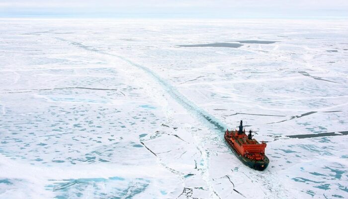 Navigating the polar frontier: exploring the effects of sea-ice decline on shipping and sea routes in the Arctic