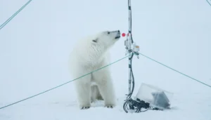 Do Beers Go Stale in the Arctic? – Jakob Sievers