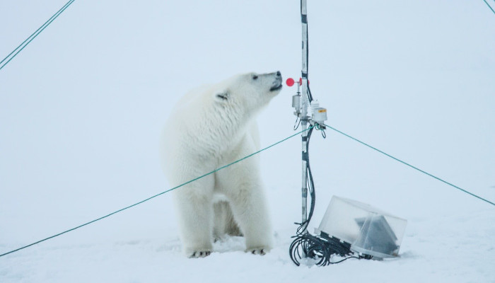 Do Beers Go Stale in the Arctic? – Jakob Sievers