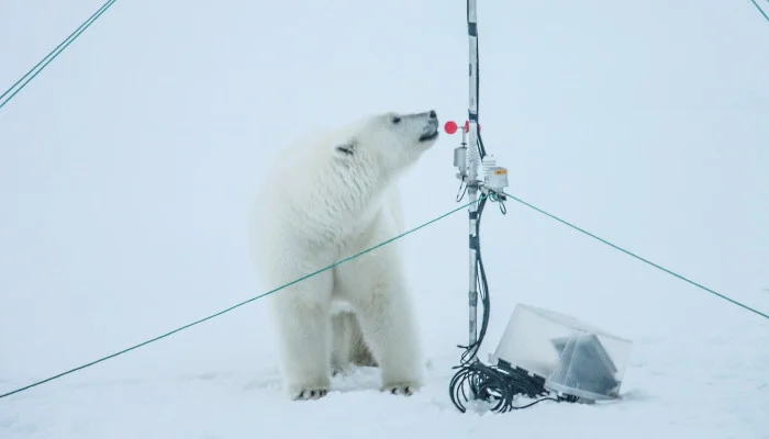 Do Beers Go Stale in the Arctic? – Jakob Sievers