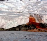 Image of the Week – Blood Falls!