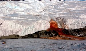 Image of the Week – Blood Falls!